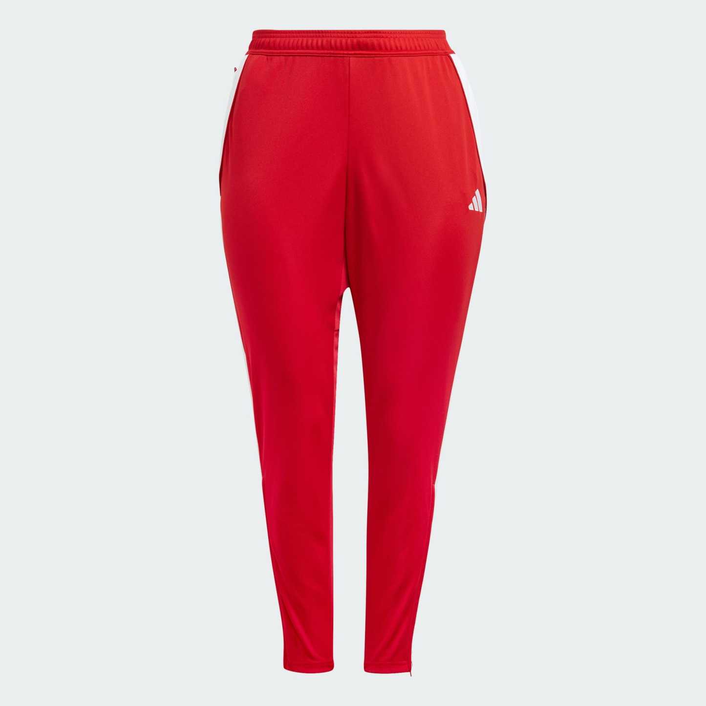 Tiro 24 Training Pants (Plus Size)