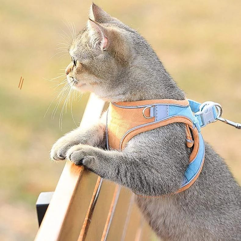 ⚡⚡Luminous Cat Vest Harness and Leash Set