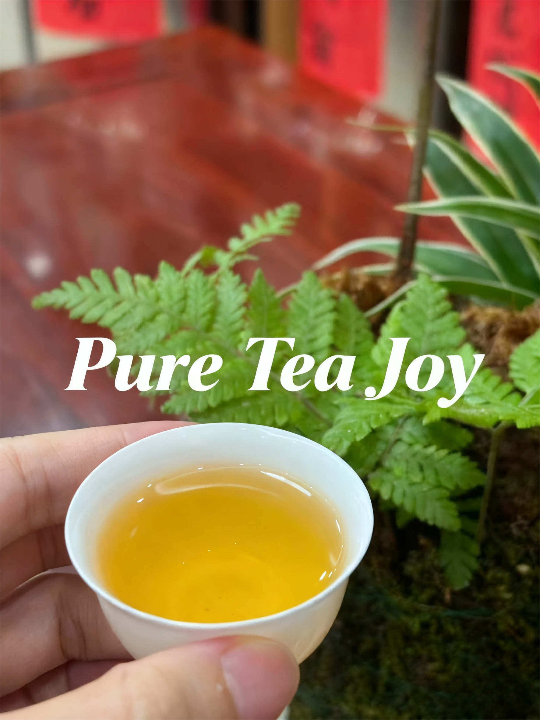 Recommendation Zone  -Tea time Whisper