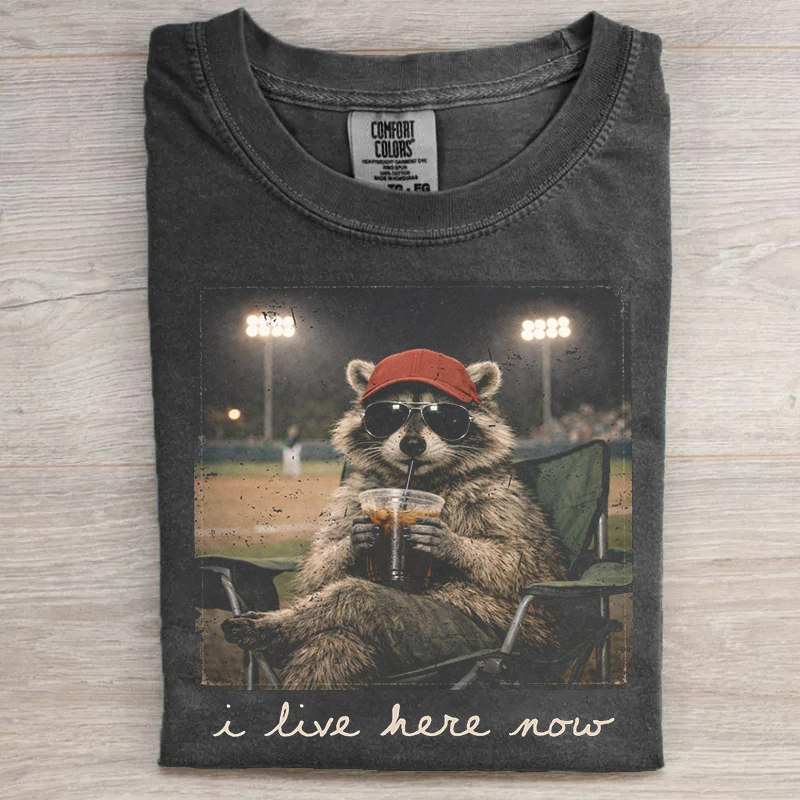 Racoon Funny Ballfield T-shirt