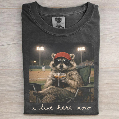 Racoon Funny Ballfield T-shirt