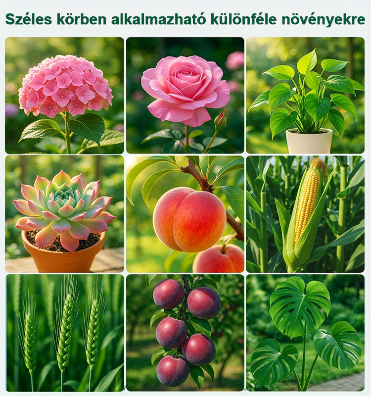 🌳 Rekordtermést akar? Kezdje a téli tisztítással! 1000 kg vízzel hígított egy üveg növényi gyümölcsfa tisztítószer