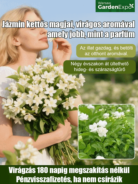 Kertje illata, mint a legdrágább parfümé! 🌸✨【A kert parfümje】✨Négyszer virágzó, dupla szirmú jázmin magok