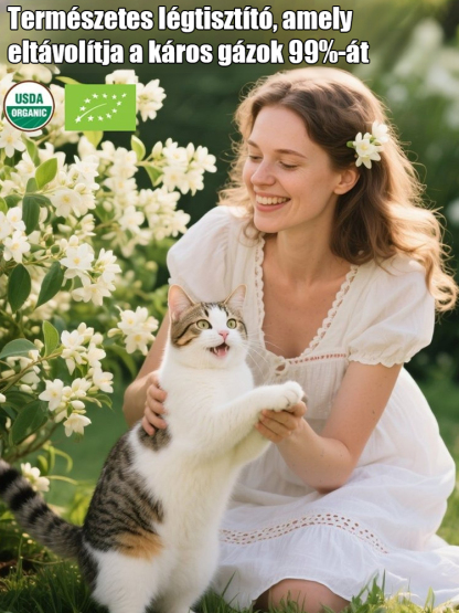 Kertje illata, mint a legdrágább parfümé! 🌸✨【A kert parfümje】✨Négyszer virágzó, dupla szirmú jázmin magok