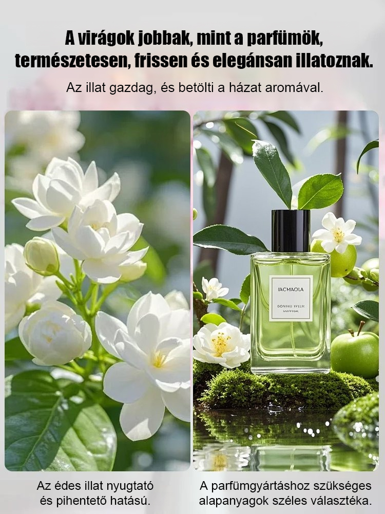 Kertje illata, mint a legdrágább parfümé! 🌸✨【A kert parfümje】✨Négyszer virágzó, dupla szirmú jázmin magok