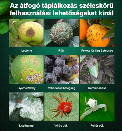 🌳 Rekordtermést akar? Kezdje a téli tisztítással! 1000 kg vízzel hígított egy üveg növényi gyümölcsfa tisztítószer