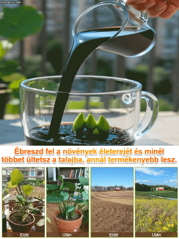 🌿 Ne dobja ki! Élessze újjá növényeit 3 nap alatt! Azonnali hatás: már egyetlen alkalom után puha és tápanyagdús lesz a talaj.