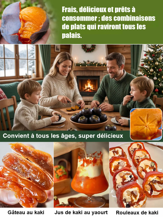 Plant de kaki 'Perle Noire Chocolat' résistant au froid– Le fruit divin dans votre jardin ! 🍫✨