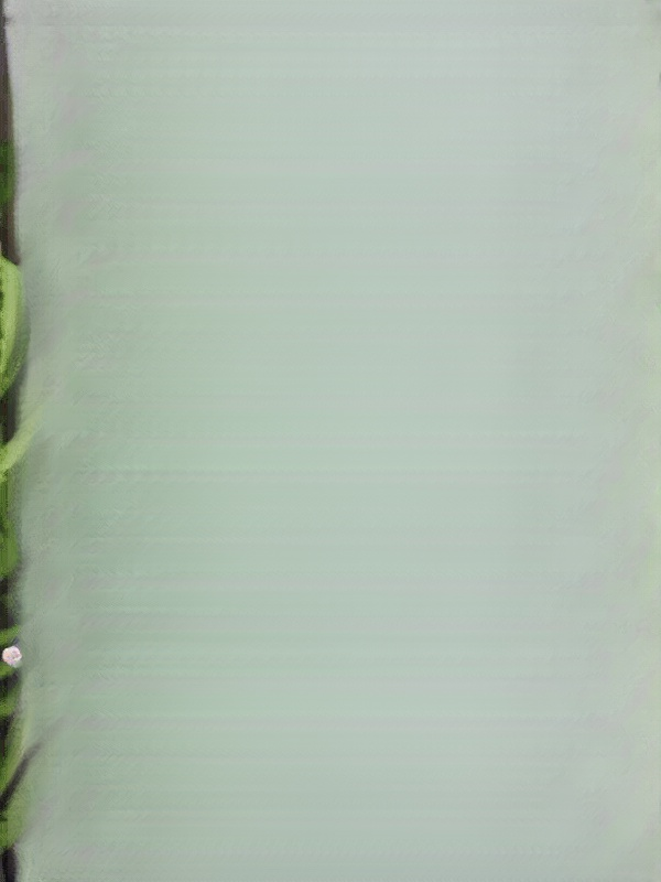 Professional Electric Rechargeable Hairdressing Kit