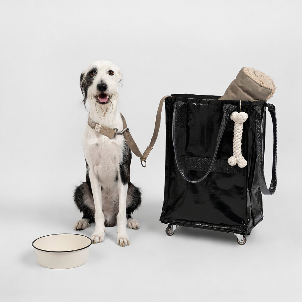 HK Rolling Tote Bag with Zip Top & Button Closure