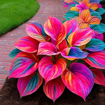 💥LAST DAY SALE 50%OFF💥🌿Premium Rare Hosta Seeds