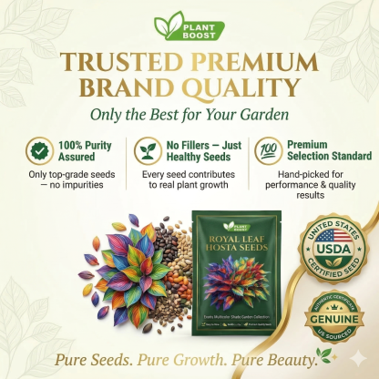 💥LAST DAY SALE 50%OFF💥🌿Premium Rare Hosta Seeds
