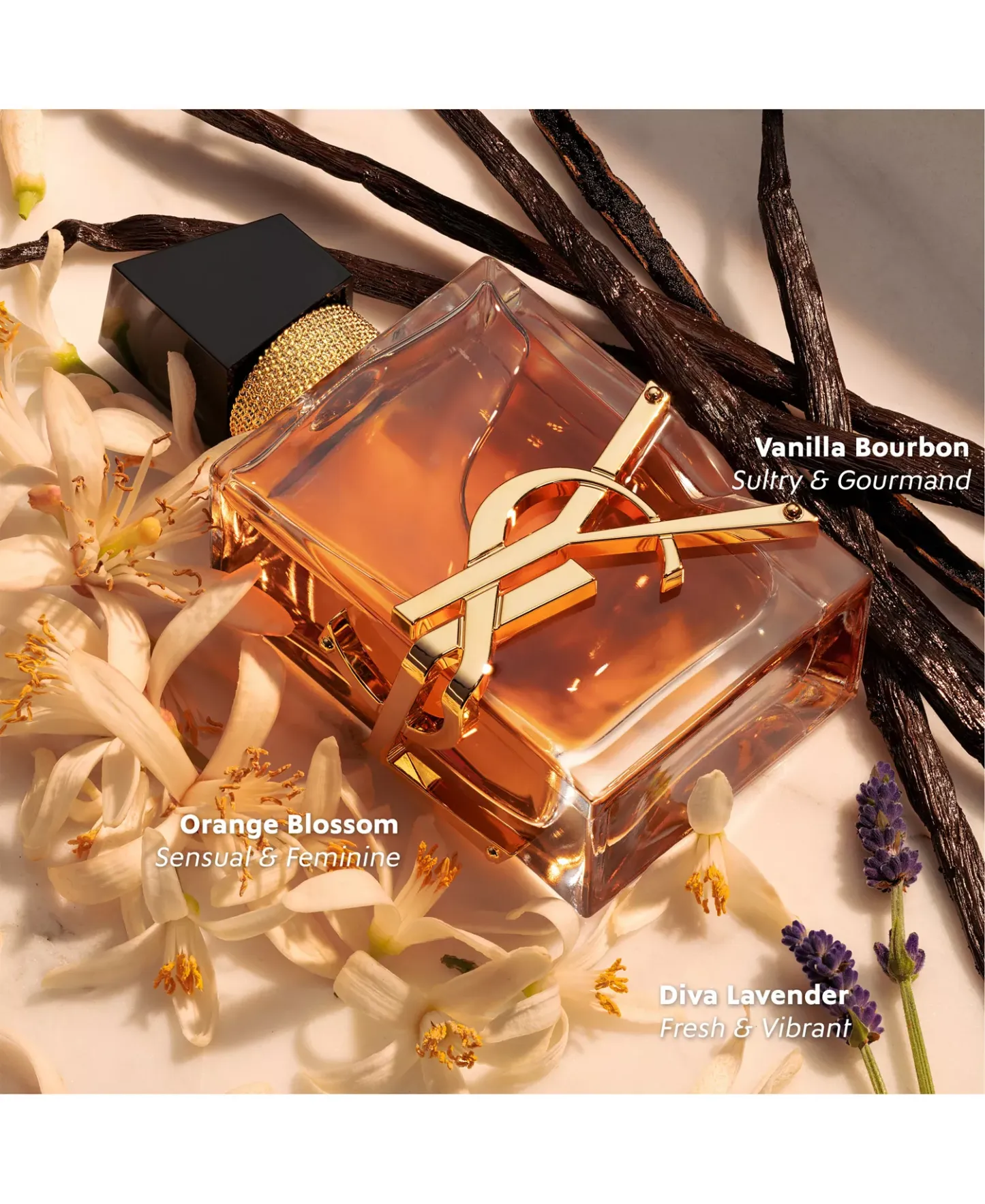 Yves Sthtaint Lauthtrent Libre Intense Eau de Parfum Spray, 3-oz.