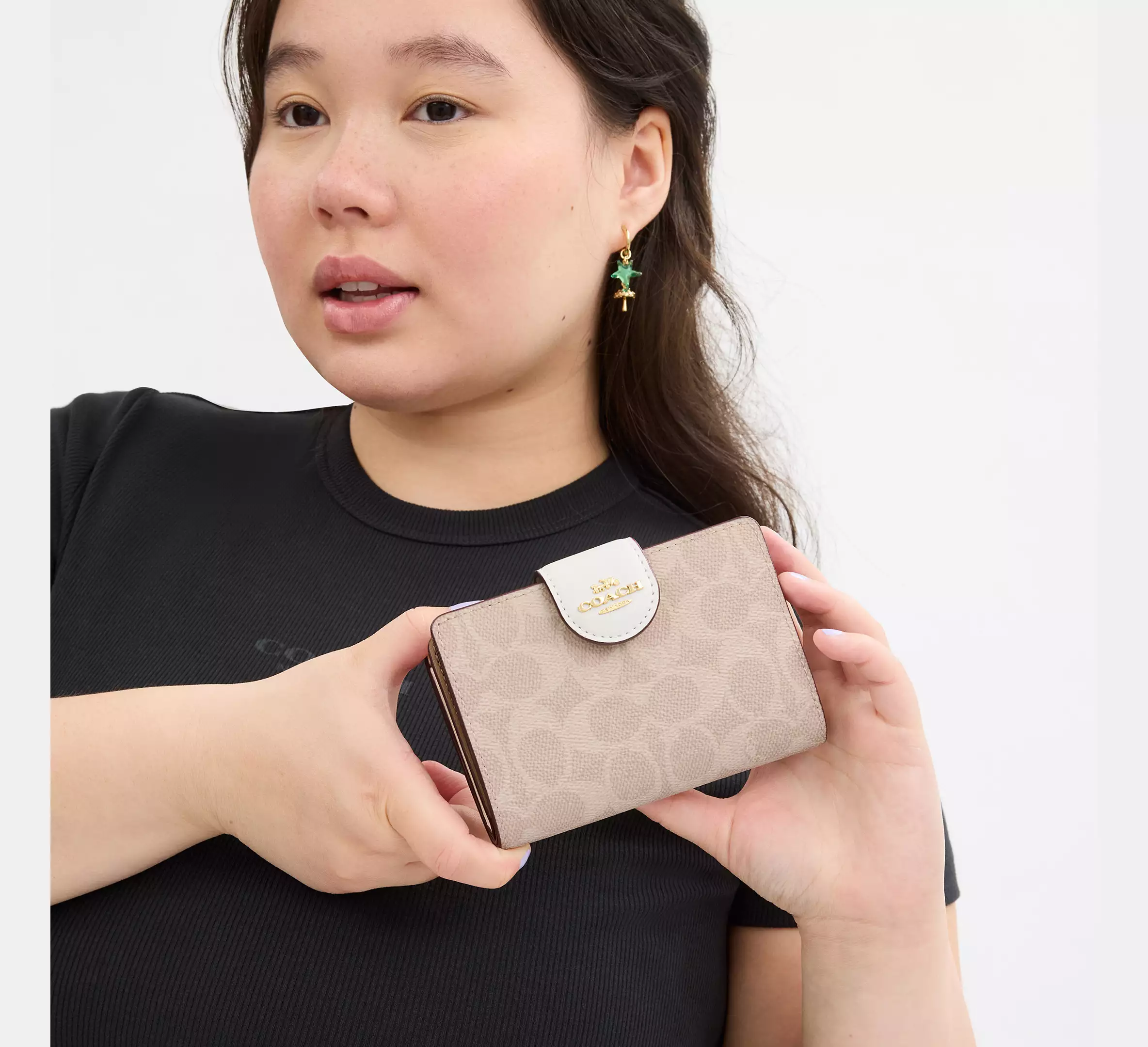 Medium Corner Zip Wallet In Signature Canvas