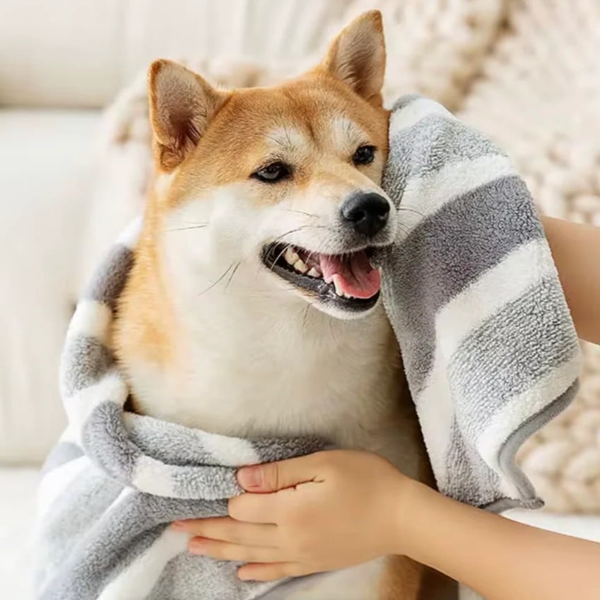This is a image alt