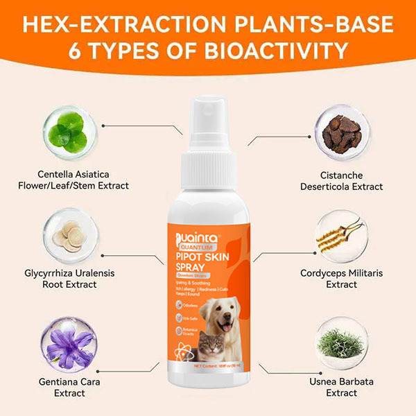 Itch Relief Spray –Vet Recommended Skin Soothing Quantum Silver Spray for Dogs & Cats