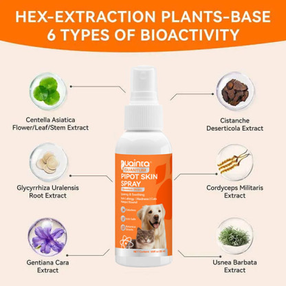 Itch Relief Spray –Vet Recommended Skin Soothing Quantum Silver Spray for Dogs & Cats