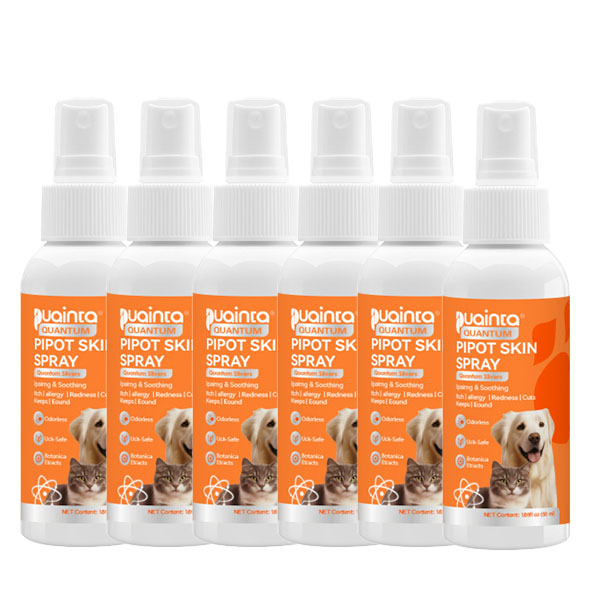 Itch Relief Spray –Vet Recommended Skin Soothing Quantum Silver Spray for Dogs & Cats