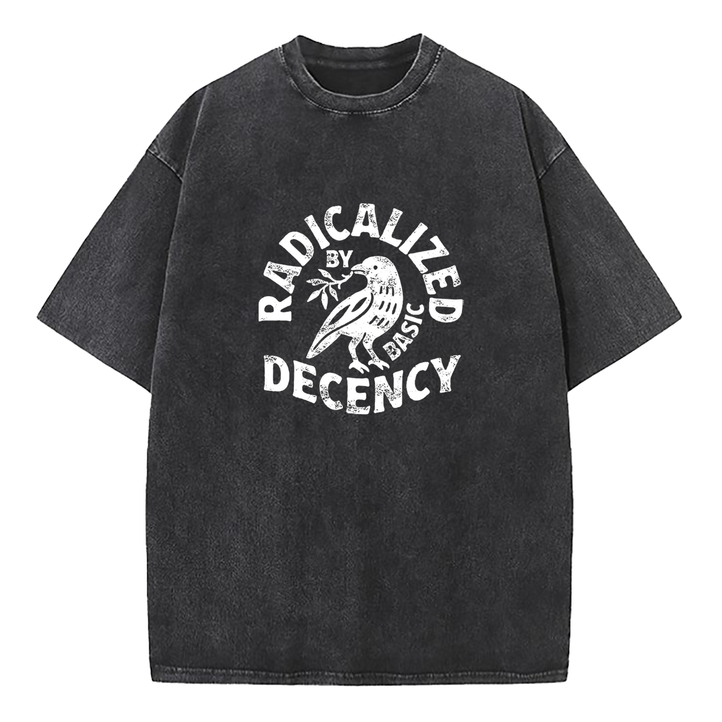 Radicalized By Basic Decency Washed T-Shirt