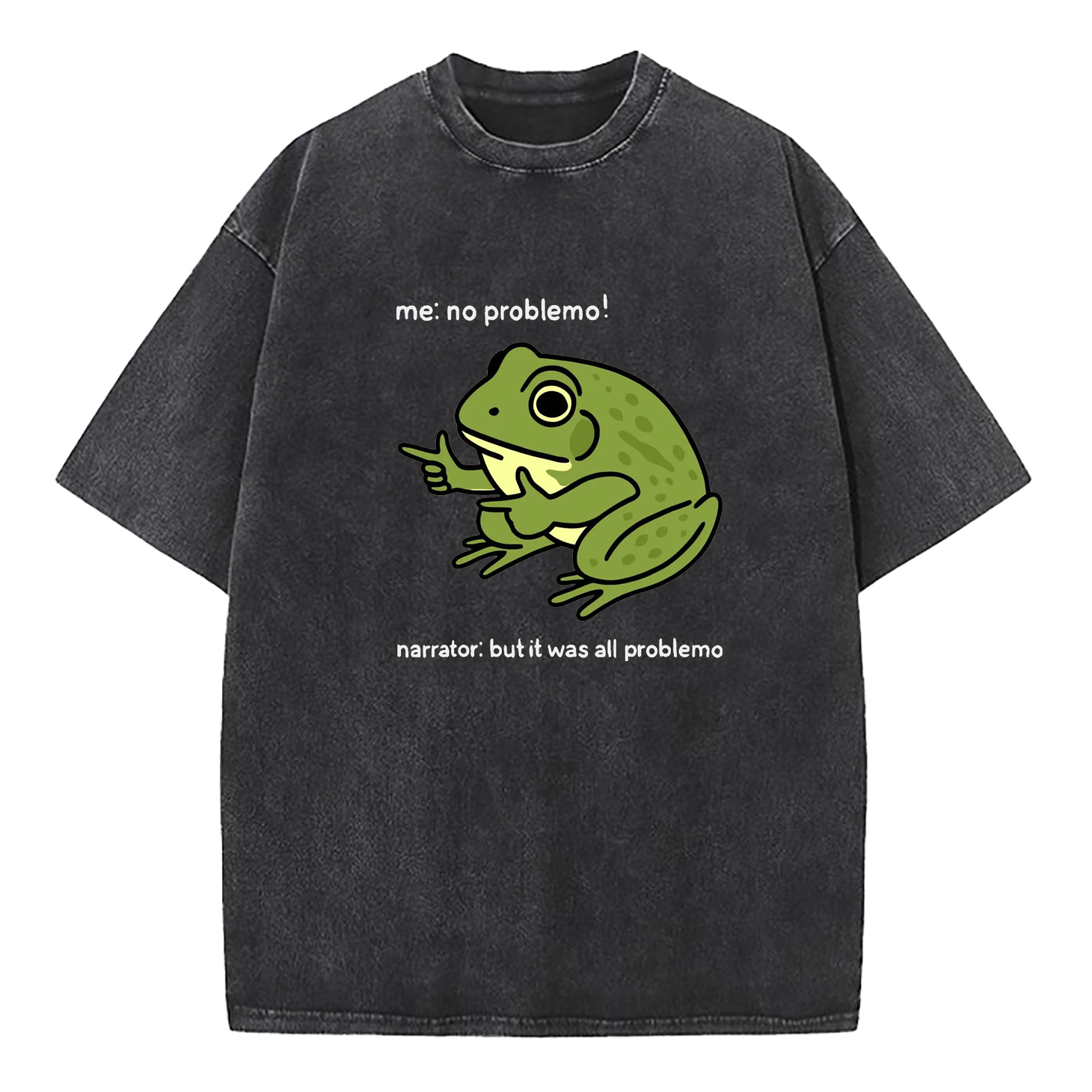 Funny Frog Me No Problemo Narrator Washed T-Shirt