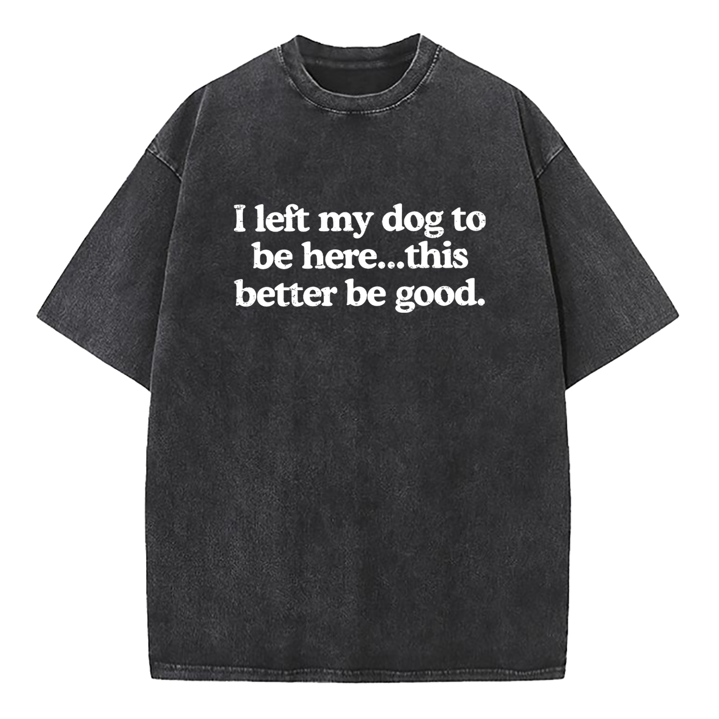 I Left My Dog To Be Here This Better Be Good Washed T-Shirt