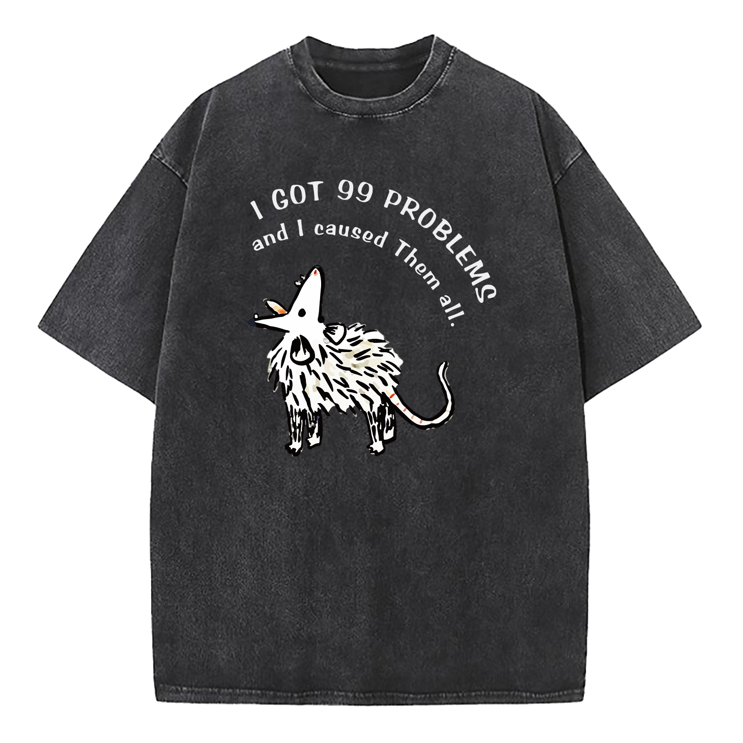 I Got 99 Problems And I Caused Them All Washed T-Shirt