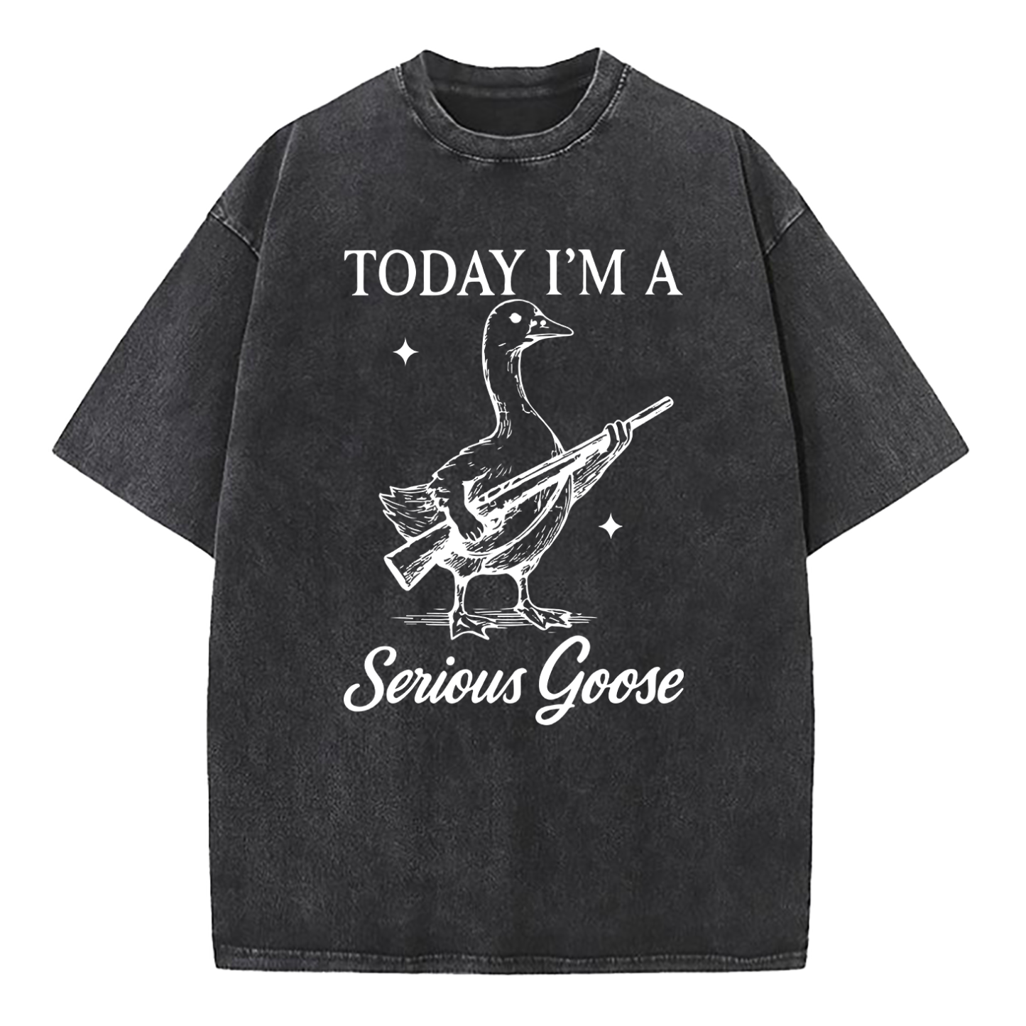 Today I'm A Serious Goose Washed T-Shirt