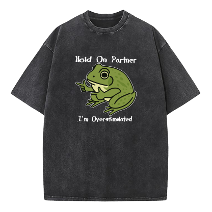 Hold On Partner I'm Overstimulated Washed T-Shirt