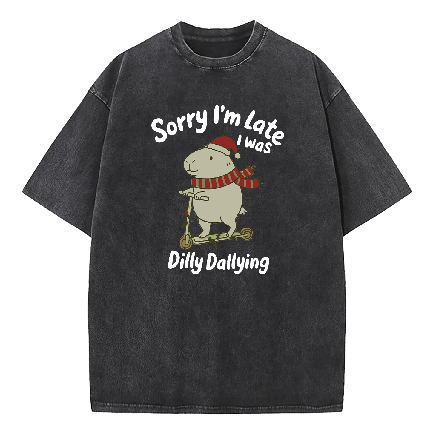 Sorry I'm Late I Was Dilly Dallying Washed T-Shirt