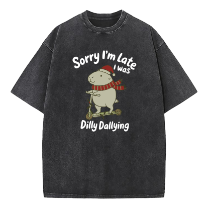 Sorry I'm Late I Was Dilly Dallying Washed T-Shirt