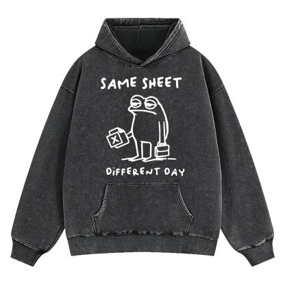 Same Sheet Different Day Washed Hoodie
