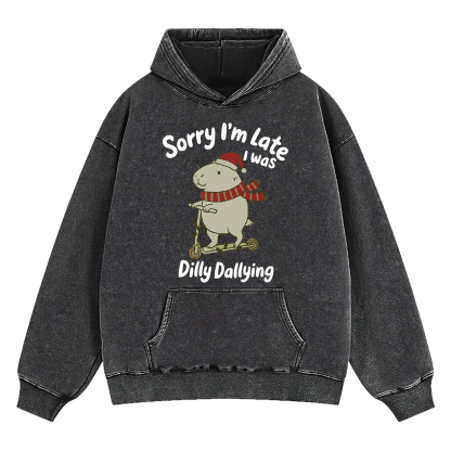 Sorry I'm Late I Was Dilly Dallying d Washed Hoodie