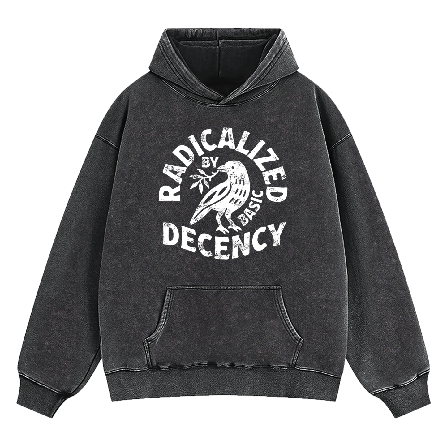 Radicalized By Basic Decency Washed Hoodie