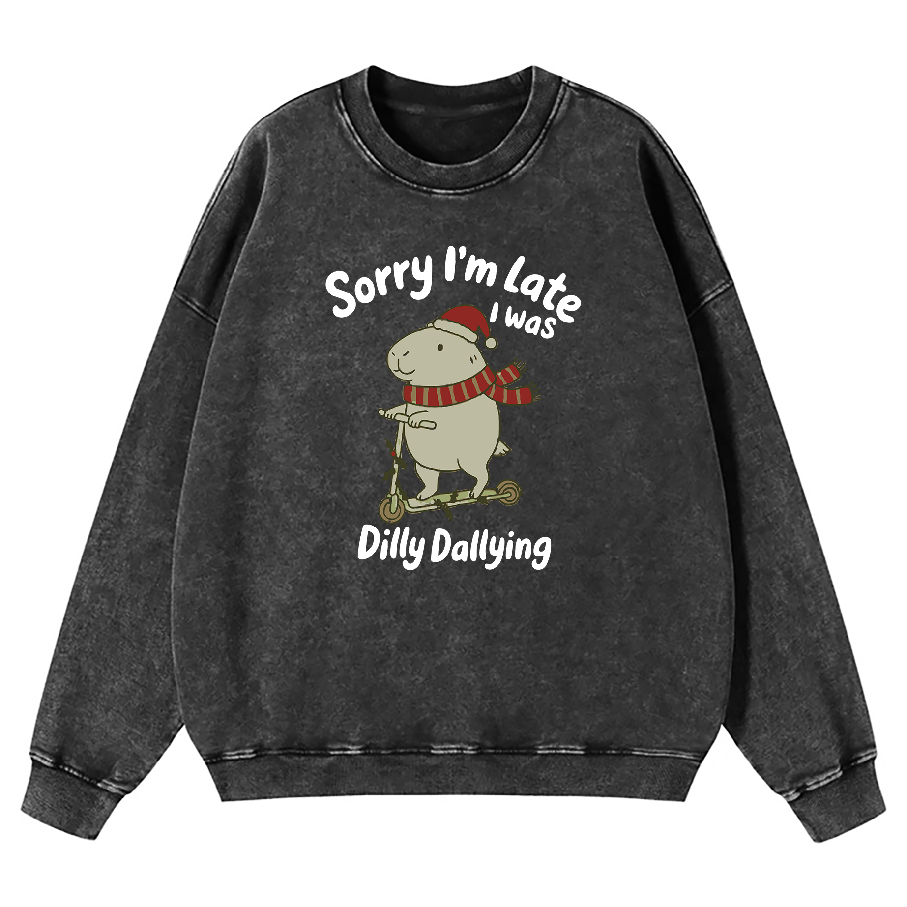 Sorry I'm Late I Was Dilly Dallying Washed Sweatshirt