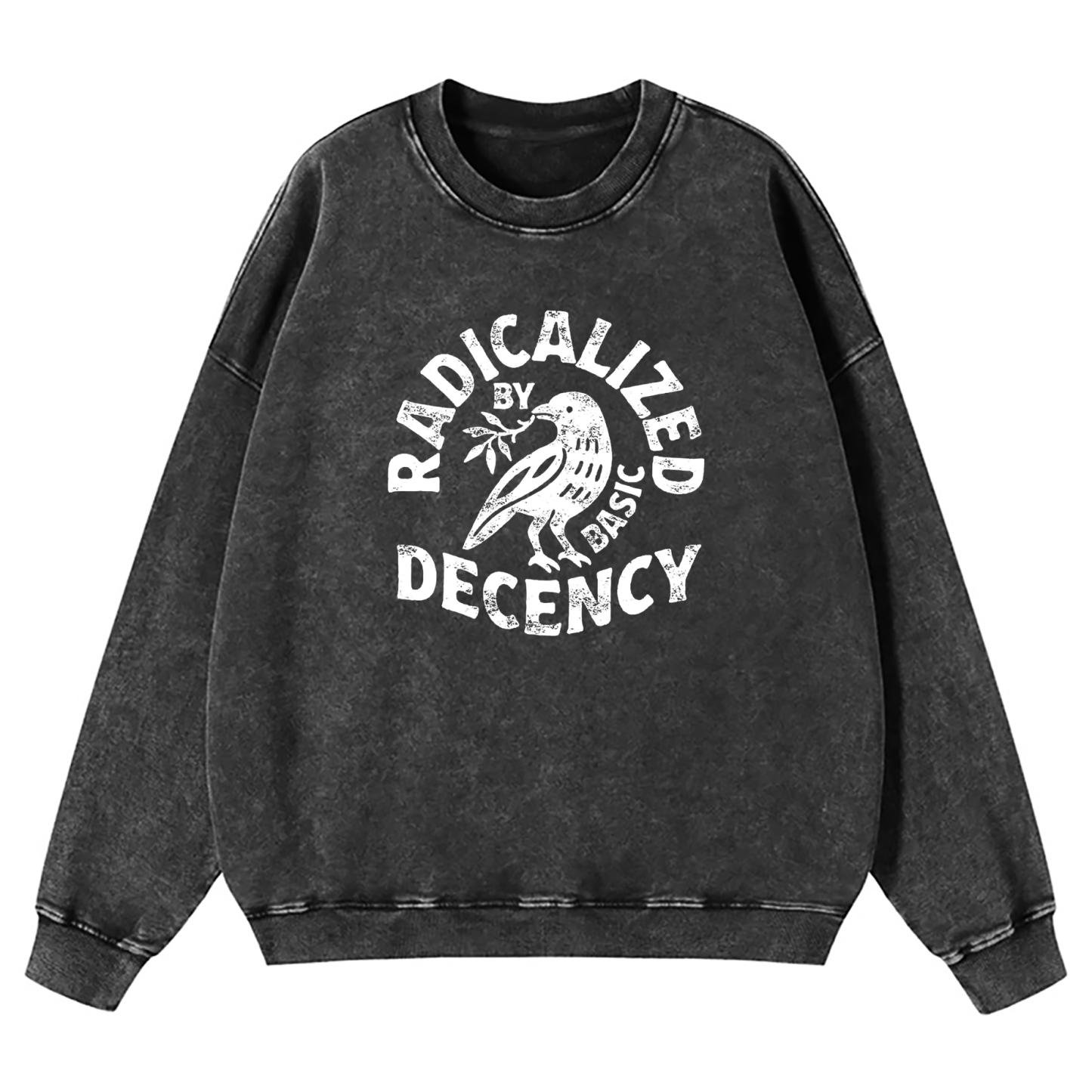 Radicalized By Basic Decency Washed Sweatshirt