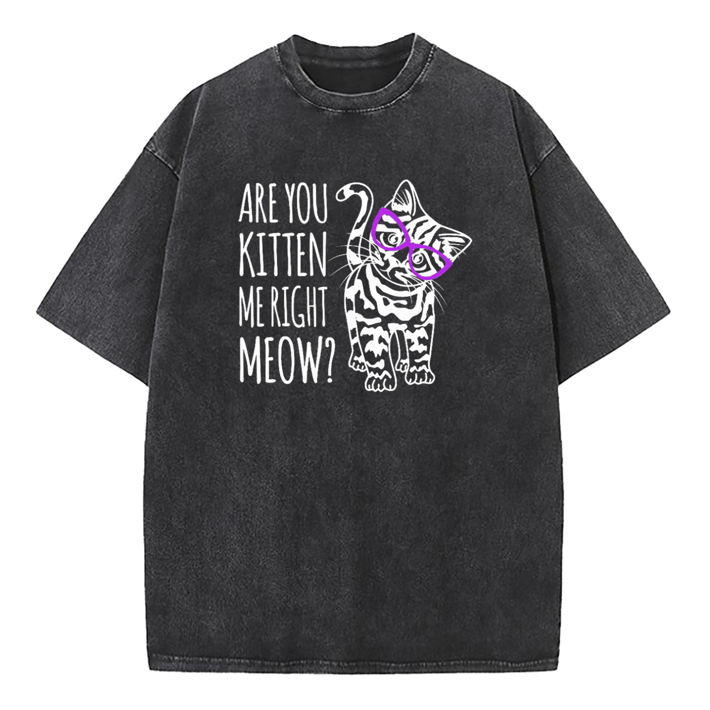 Are You Kitten Me Right Meow Washed T-Shirt