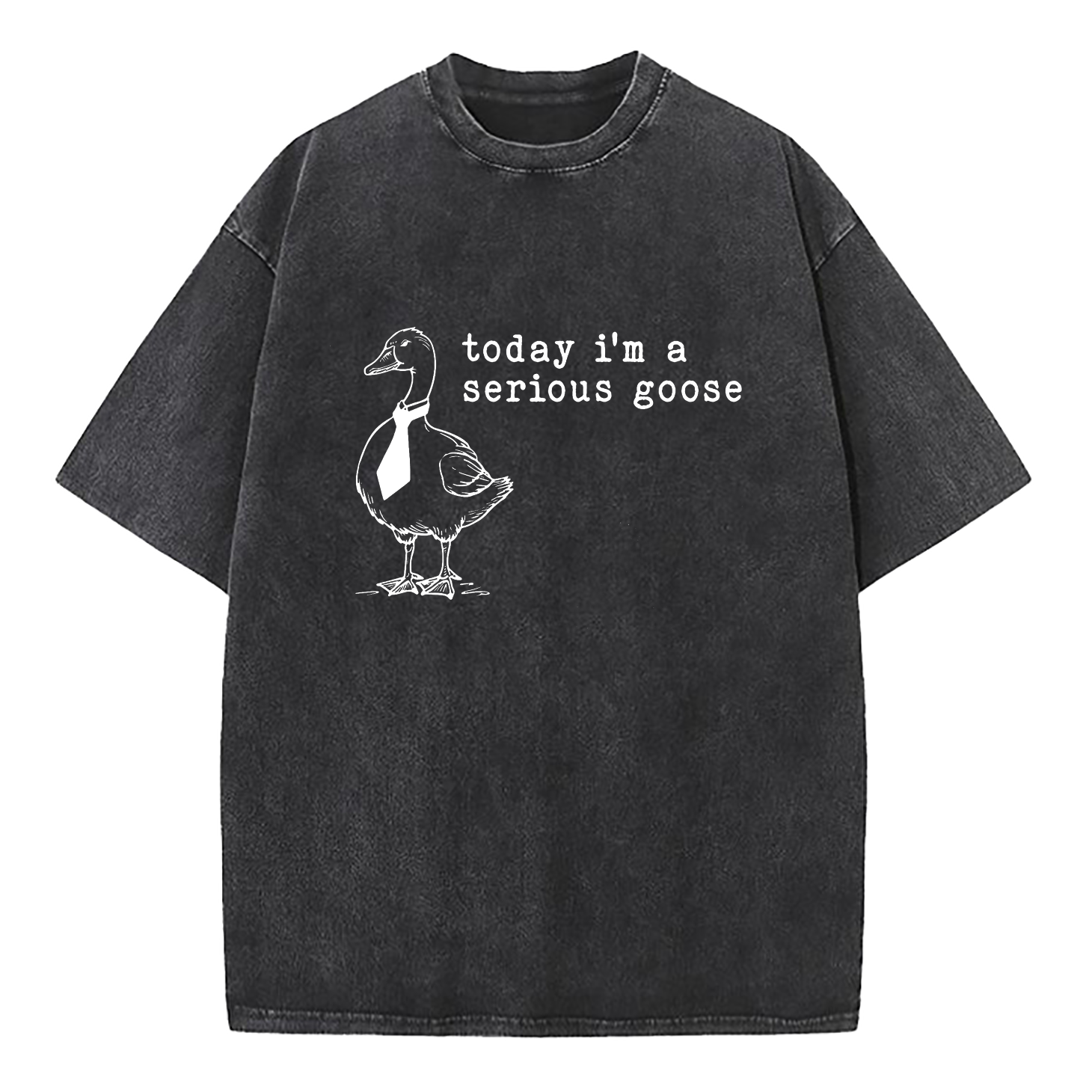 Today I'm A Serious Goose Washed T-Shirt