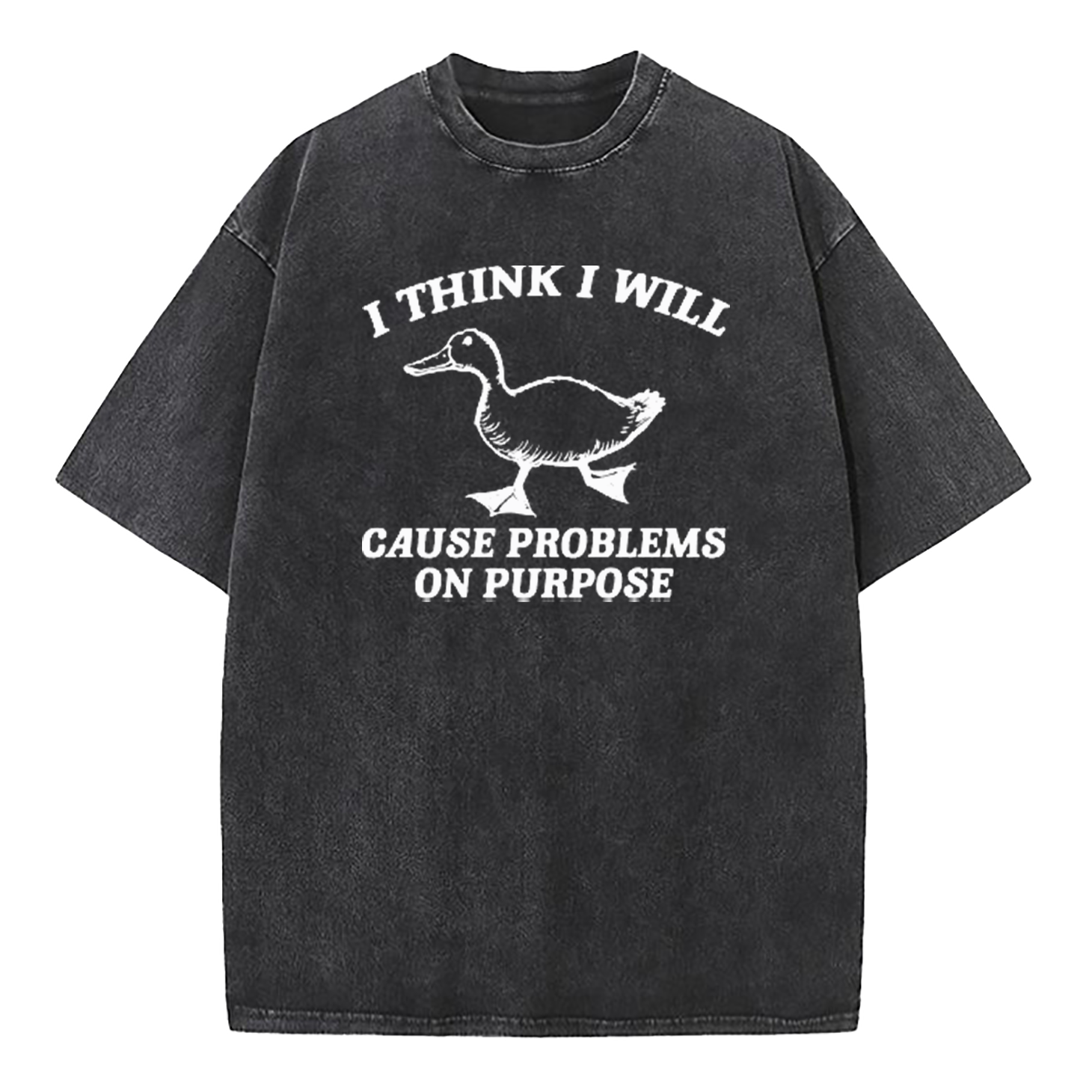 I Think I Will Cause Problems On Purpose Washed T-Shirt