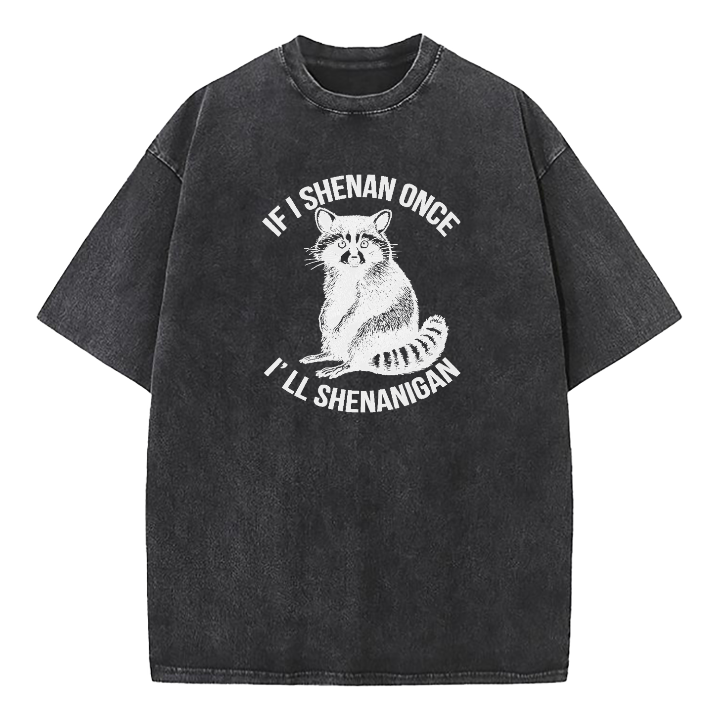 If I Shenan Once I'll Shenanigan Washed T-Shirt