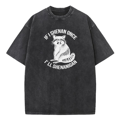 If I Shenan Once I'll Shenanigan Washed T-Shirt
