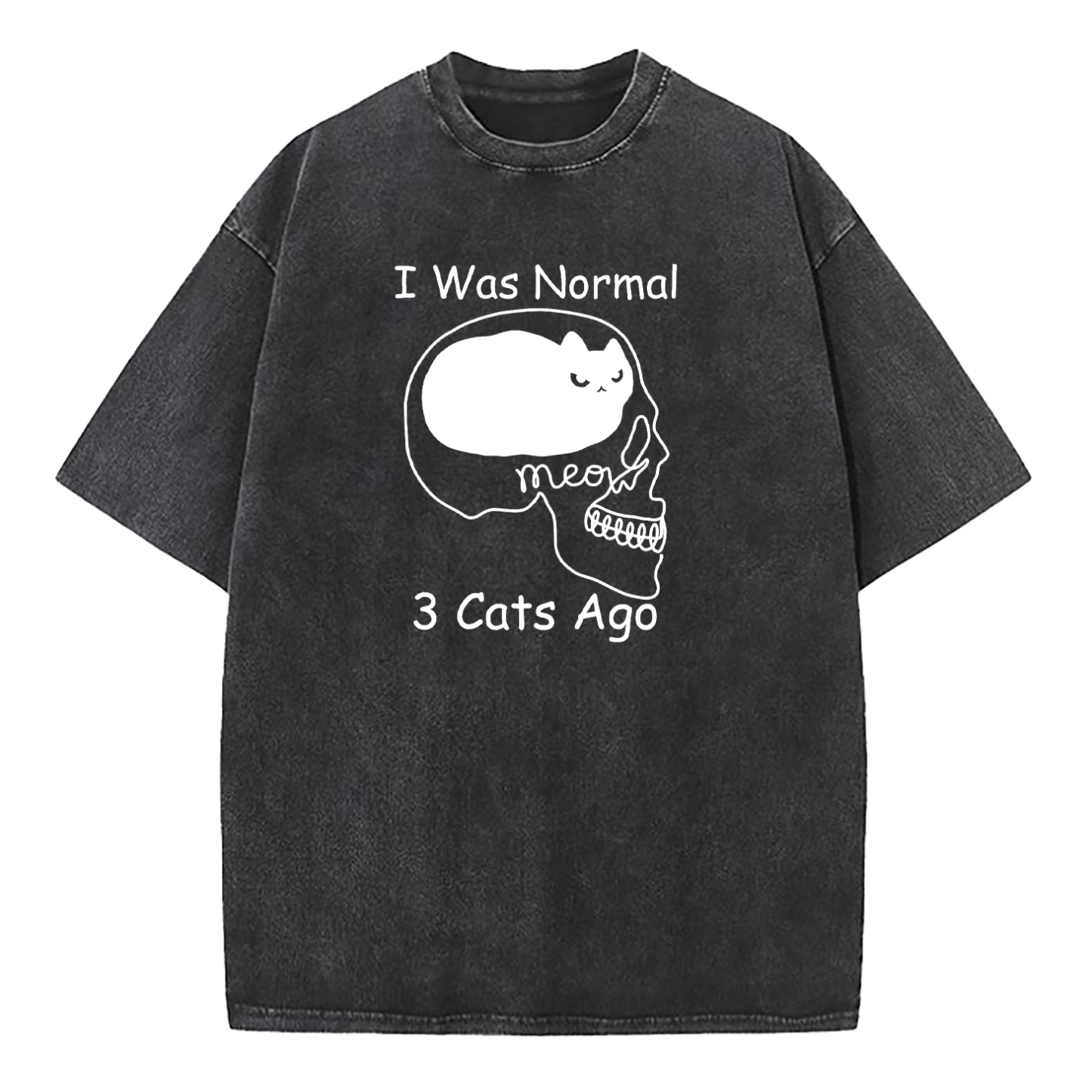 I Was Normal 3 Cats Ago Washed T-Shirt