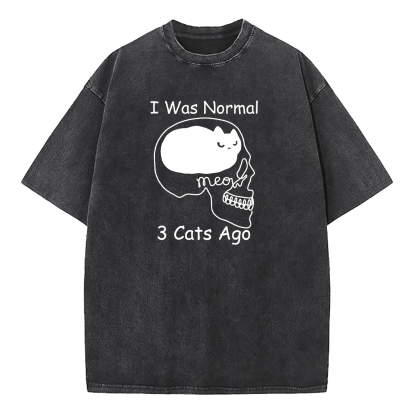 I Was Normal 3 Cats Ago Washed T-Shirt