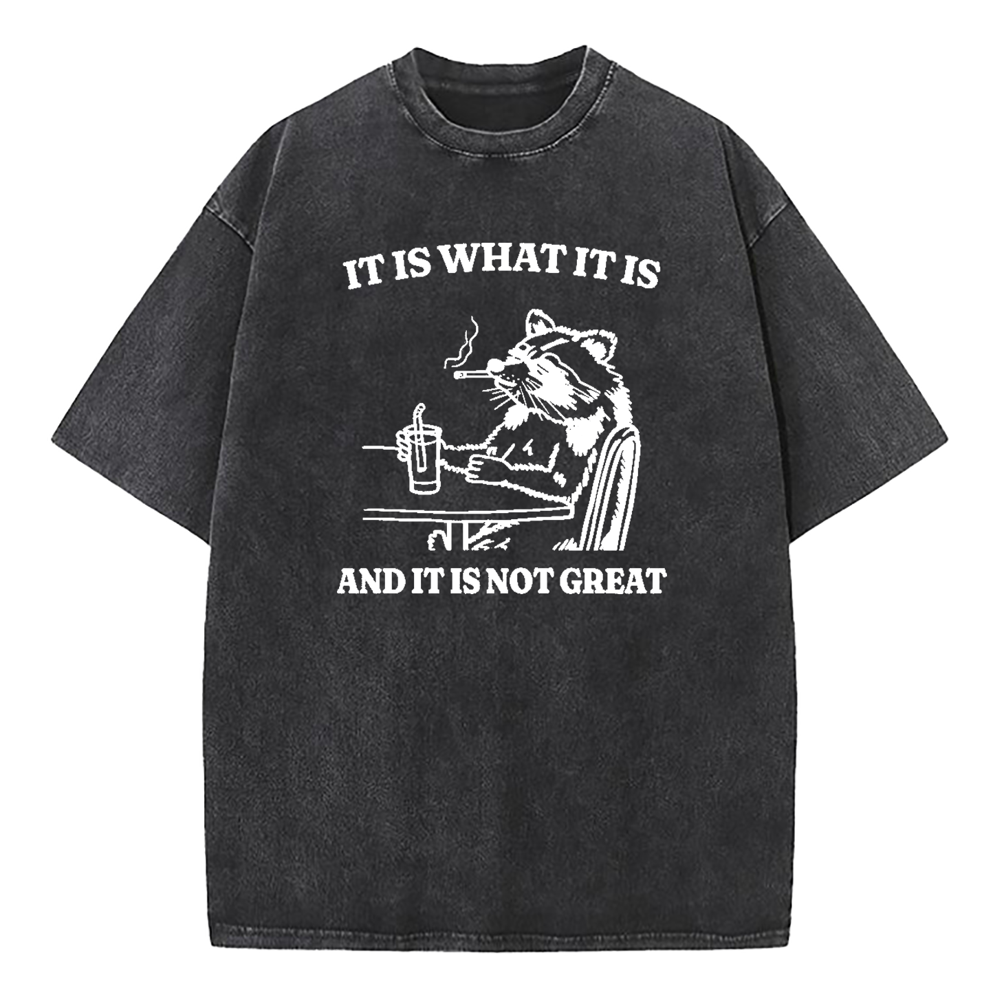 It Is What It Is Funny Washed T-Shirt