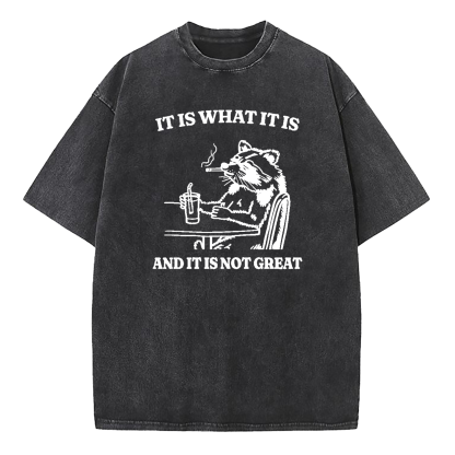 It Is What It Is Funny Washed T-Shirt