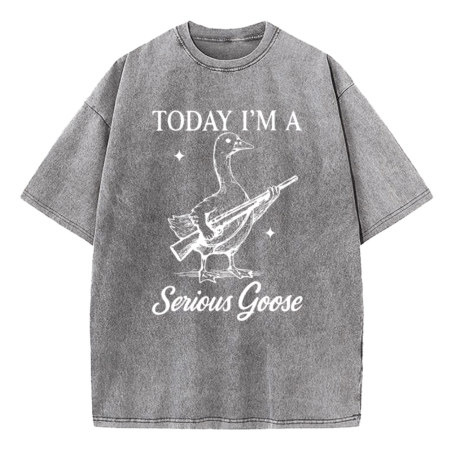 Today I'm A Serious Goose Washed T-Shirt
