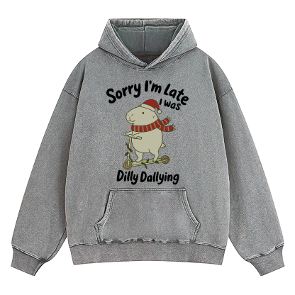 Sorry I'm Late I Was Dilly Dallying d Washed Hoodie