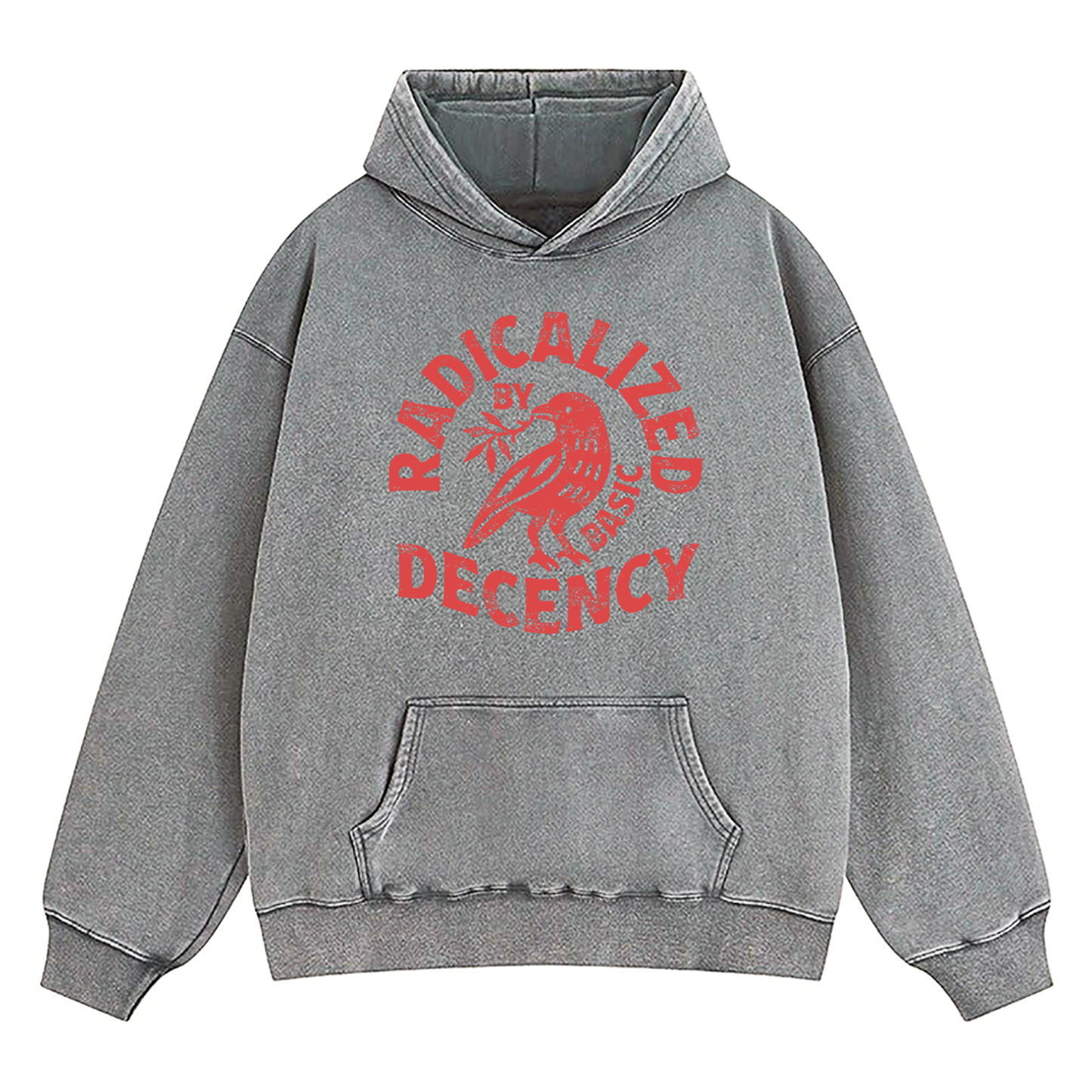 Radicalized By Basic Decency Washed Hoodie