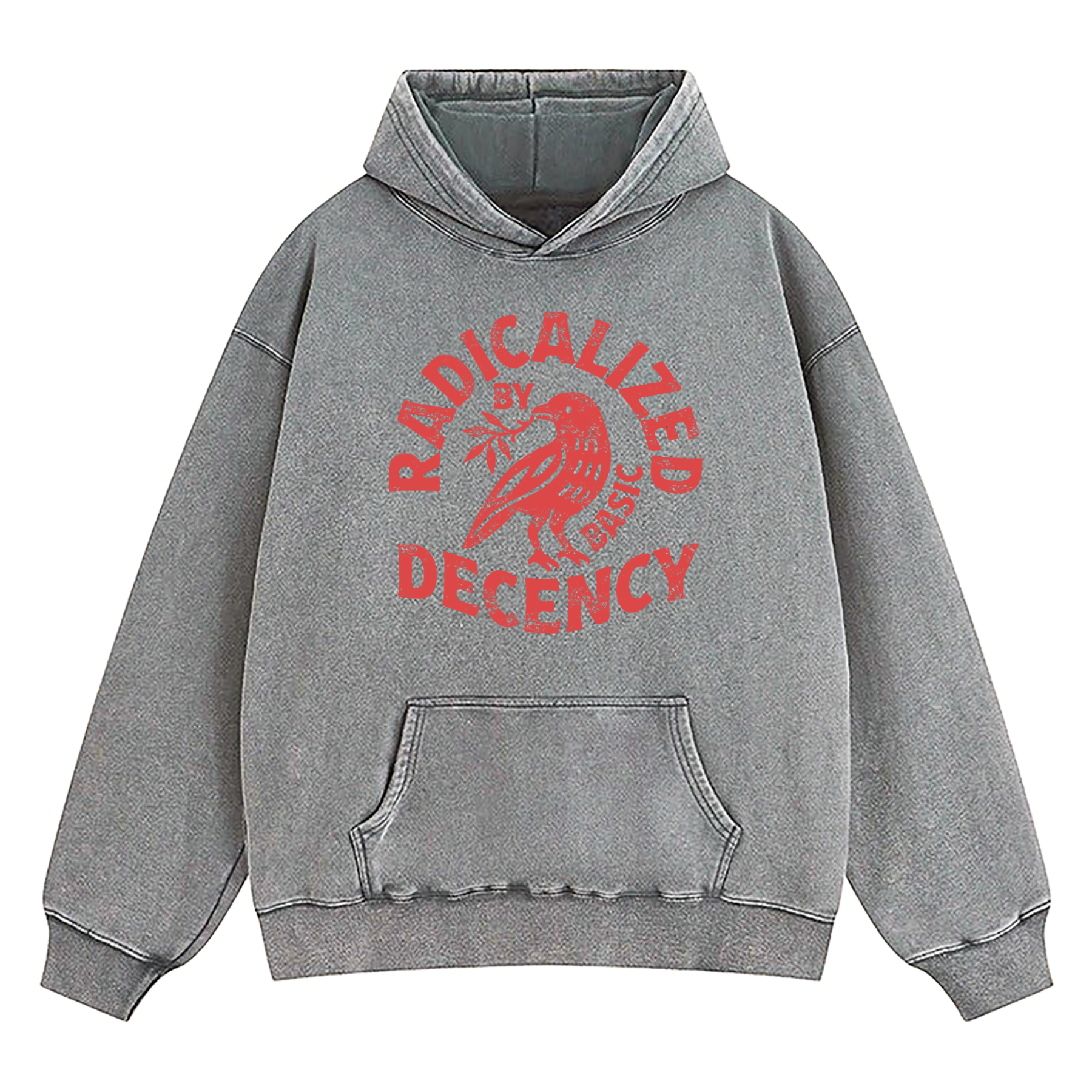 Radicalized By Basic Decency Washed Hoodie