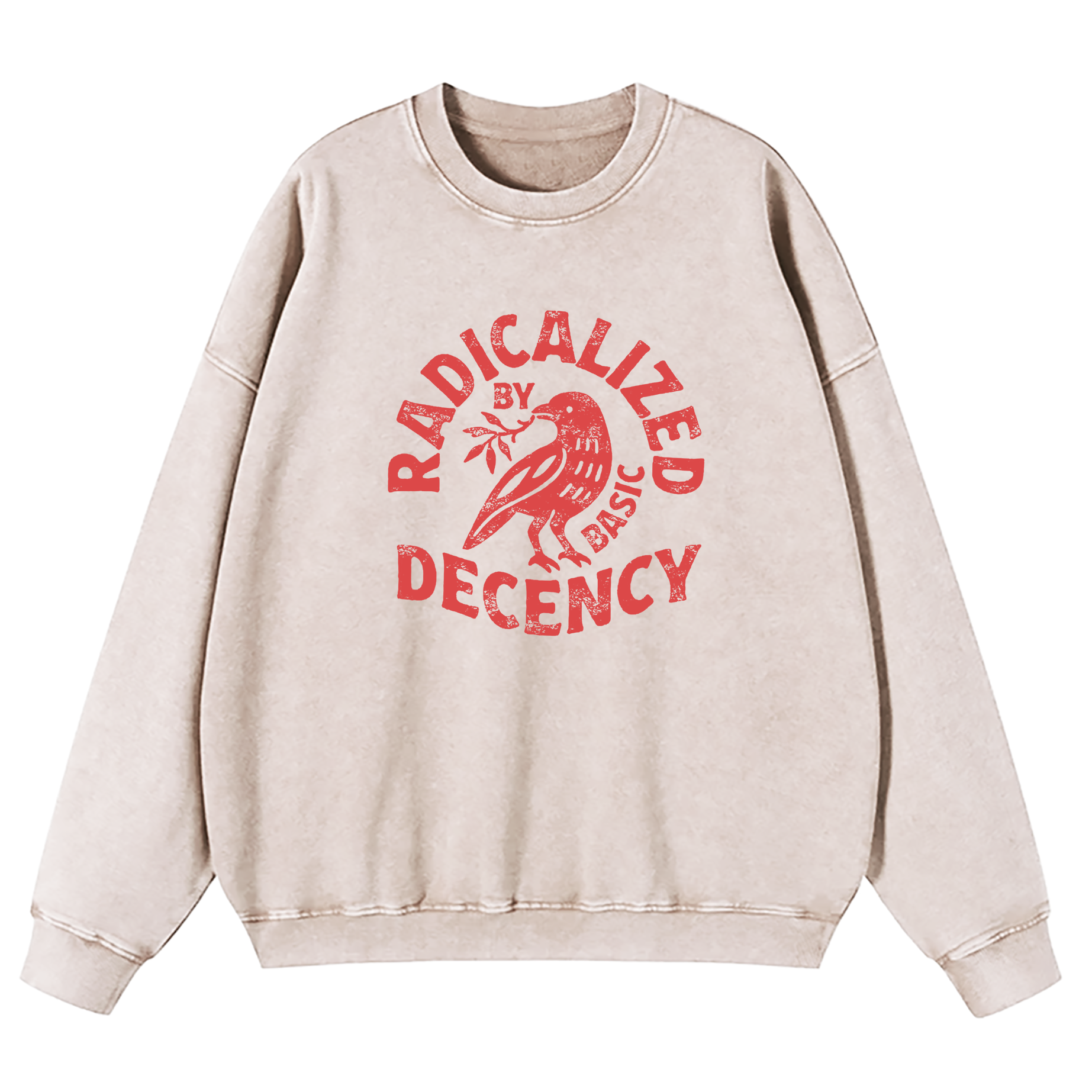 Radicalized By Basic Decency Washed Sweatshirt