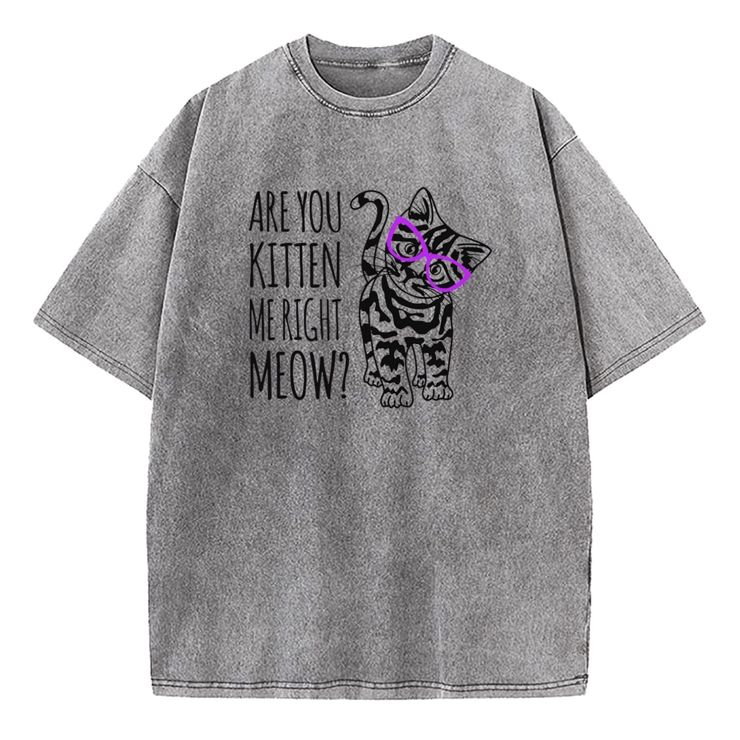 Are You Kitten Me Right Meow Washed T-Shirt